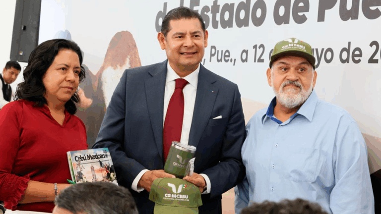 Impulso a sector primario sin burocratismo: Alejandro Armenta Impulso a sector primario sin burocratismo: Alejandro Armenta